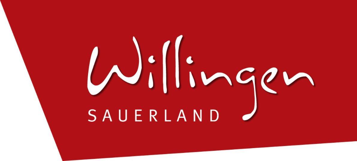 Komfort-Fewo Blickfang Willingen*** Willingen  Buitenkant foto