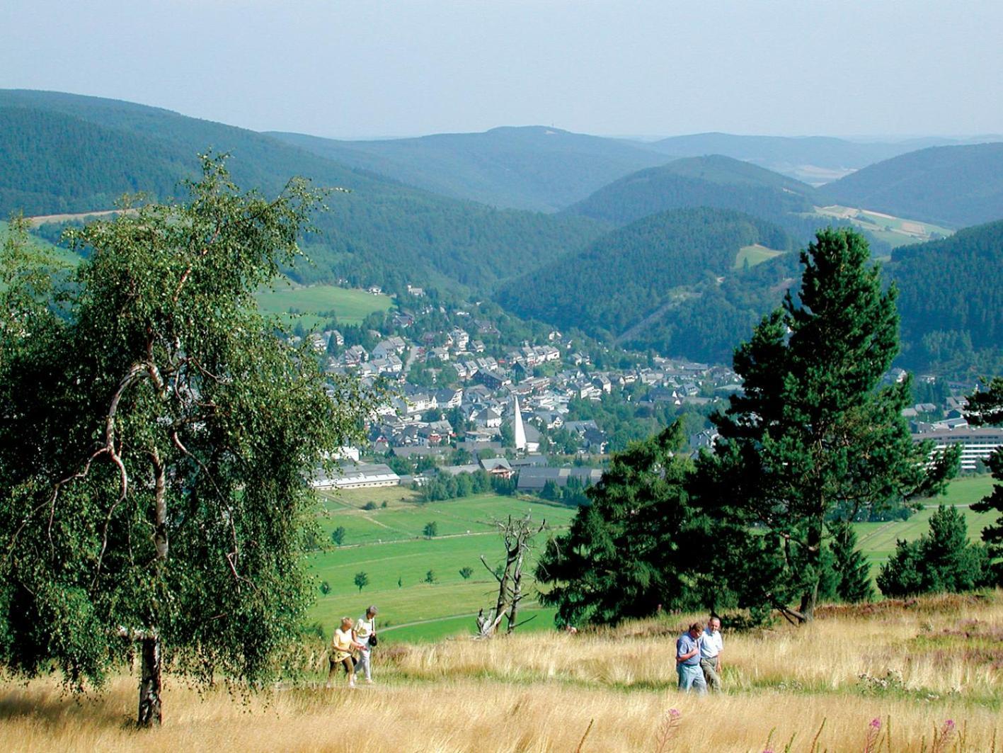 Komfort-Fewo Blickfang Willingen*** Willingen  Buitenkant foto